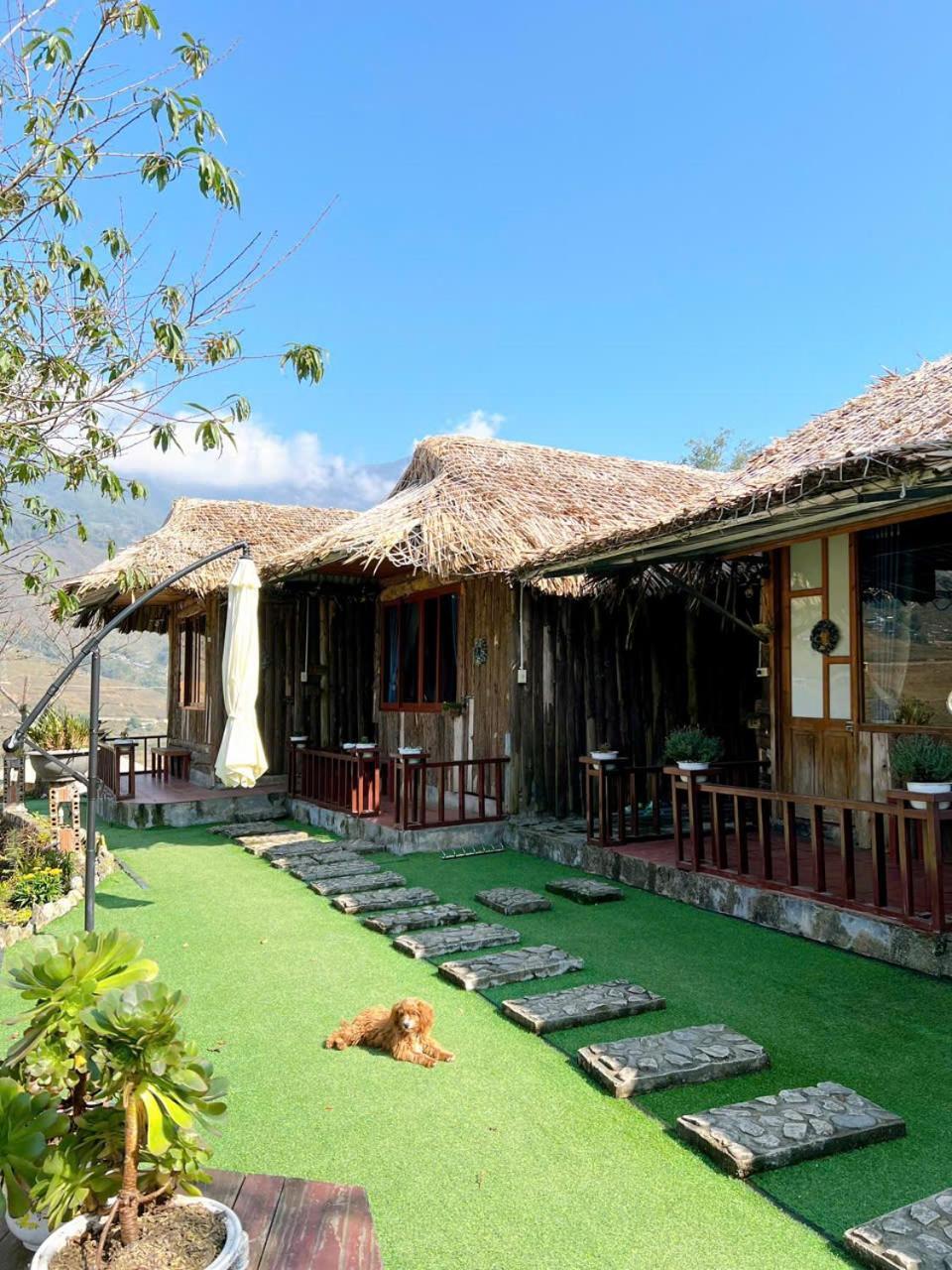 Bed and breakfast Sapa Eco Hugo Extérieur photo